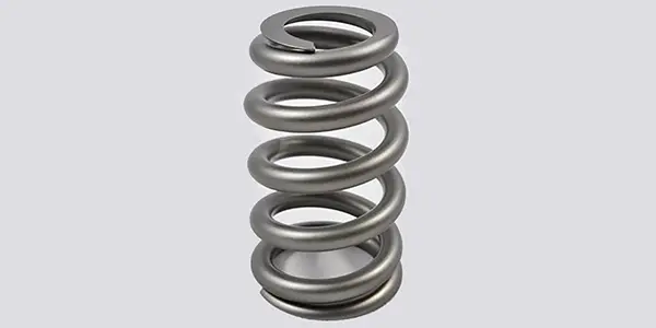 Micro Spring Products Valve Springs